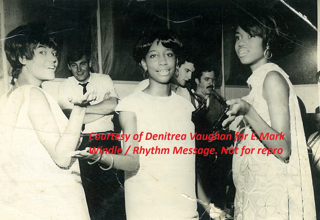 The Elvitrue Passions - E. Mark Windle